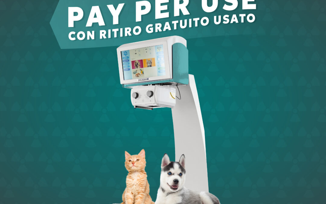 copertina articolo servizio pay per use